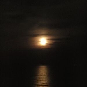 Meet your Posher, Gianna